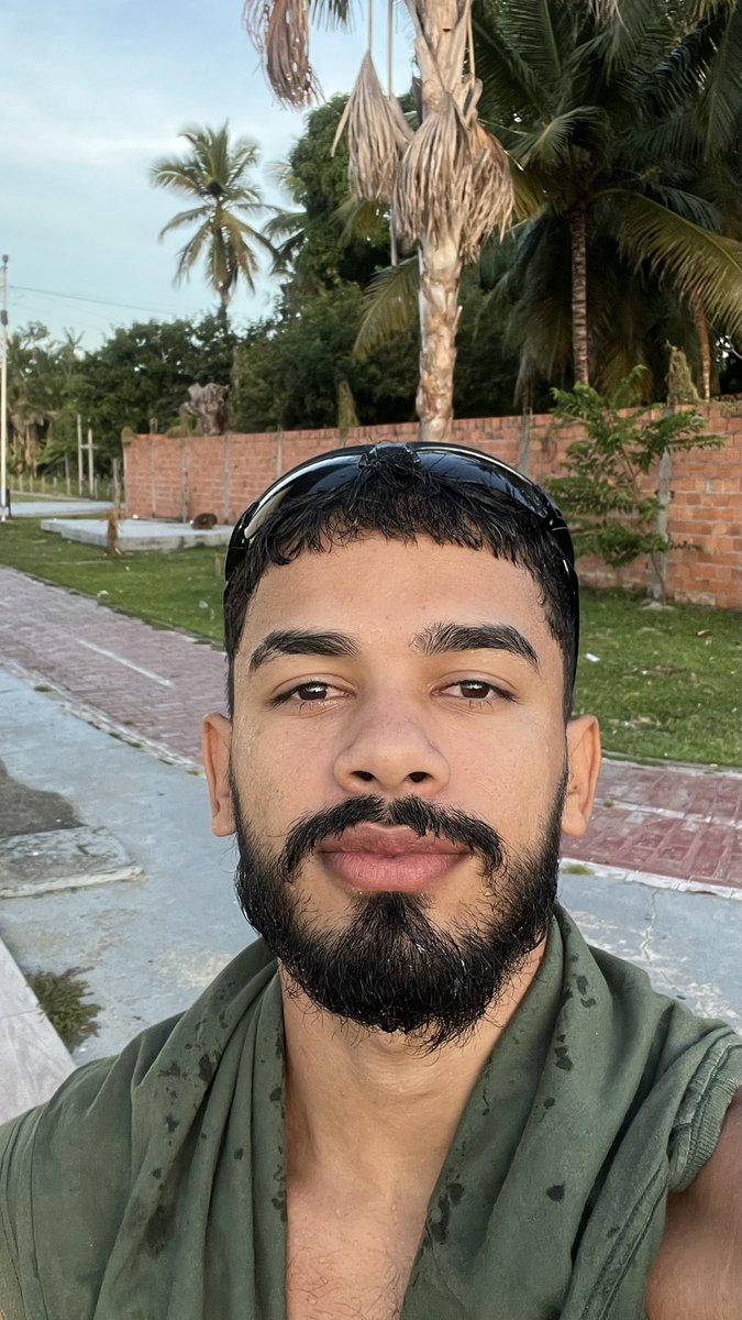 romin 🕷 tweet media