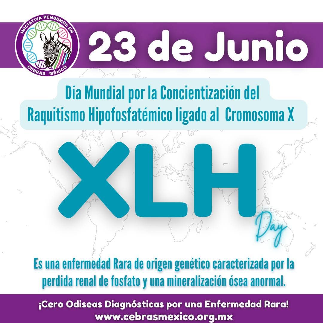 PCebras's tweet image. Hoy 23 de junio se conmemora el Día Mundial del XLH.🧬🦓
Agradecemos a Aby quién nos comparte fotos de ésta gran acción de conciencia compartida con el apoyo de los profesionales de la salud. #XLHAwareness #EnfermedadesRaras