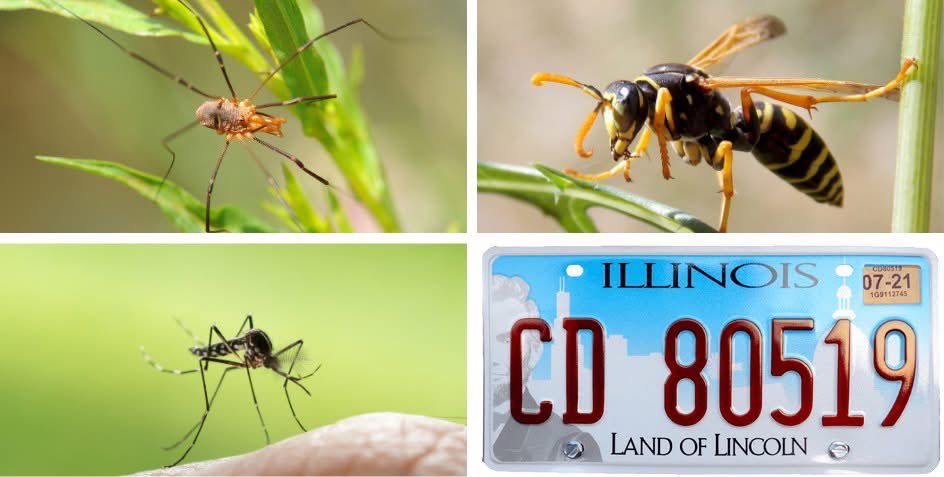 Family Express tweet media