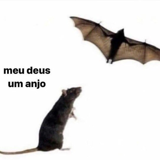 <a href="/NazareAmarga/">Nazaré Amarga</a> Macho e eu pensando como diabos esses cachorros aprenderam a fazer isso KKKKKKKKKKKKK