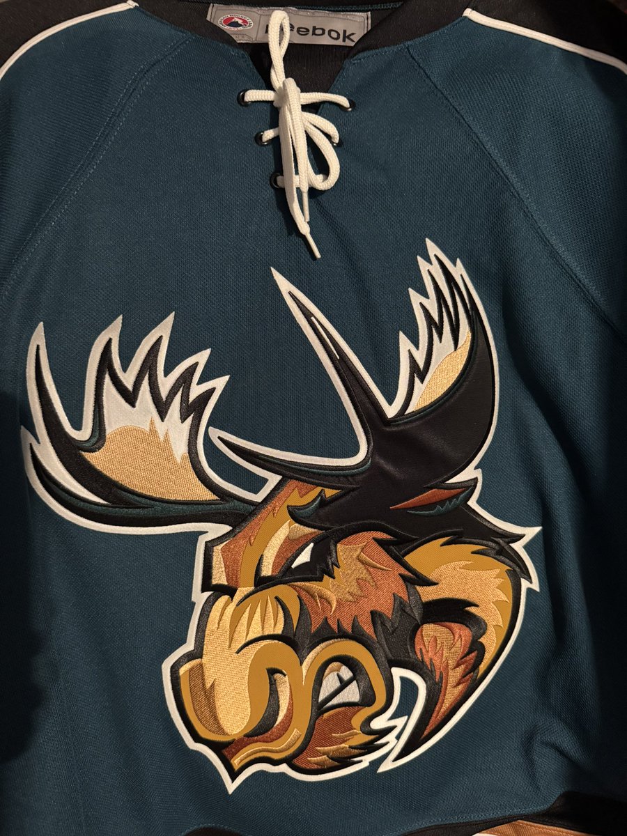 Manitoba Moose. Wanted to put Cory Schneider on it + Moose is my favorite animal. 

Also- need more green uniforms in sports.