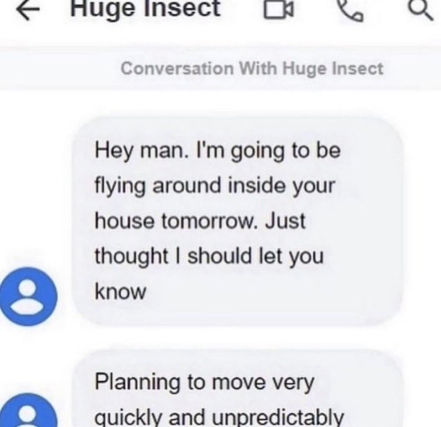 bongoism's tweet image. 