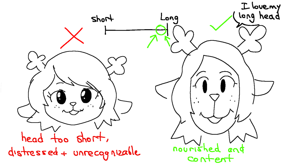 Gato del Futuro (@gatodelfuturo) on Twitter photo 