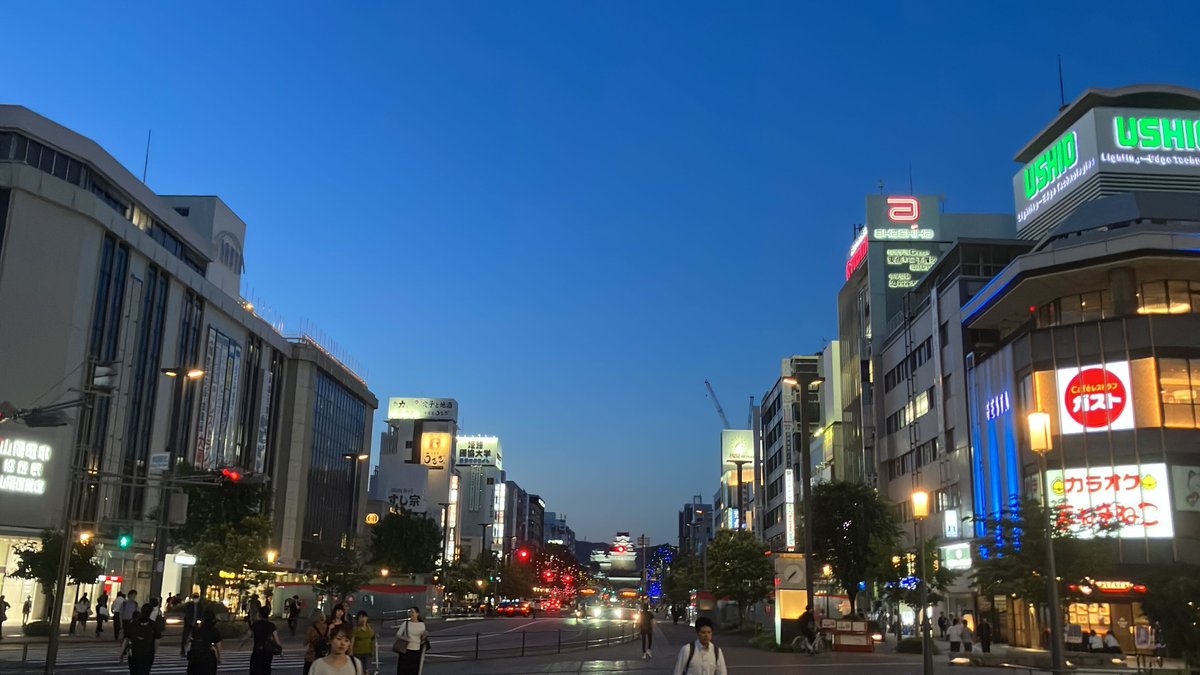 The Complex Molecular Systems Laboratory’s professor,  assistant professor, and two PhD students attended The 25th Annual Meeting of the Protein Science Society of Japan in Himeji and  presented three posters!
#NAIST #GraduateSchool