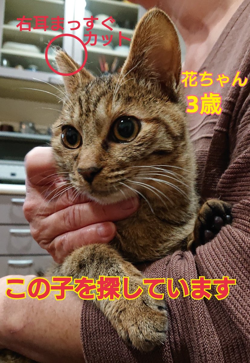 えみ on X: 