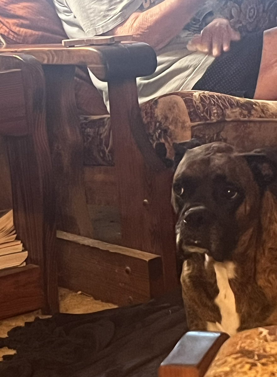 joule1215's tweet photo. When the treats are right there and mom won’t let grandma give you one. https://t.co/O3sGMXOeTo