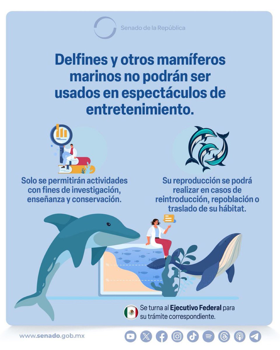 Josue Aguilar (@josuealeexis) on Twitter photo 🚨 🐬El Senado (<a href="/senadomexicano/">Senado de México</a>) aprueba prohibir el uso de mamíferos marinos en espectáculos de entretenimiento.
#ÚltimaHora #BienestarAnimal #NoAlMaltratoAnimal 🚨 🐬El Senado (<a href="/senadomexicano/">Senado de México</a>) aprueba prohibir el uso de mamíferos marinos en espectáculos de entretenimiento.
#ÚltimaHora #BienestarAnimal #NoAlMaltratoAnimal