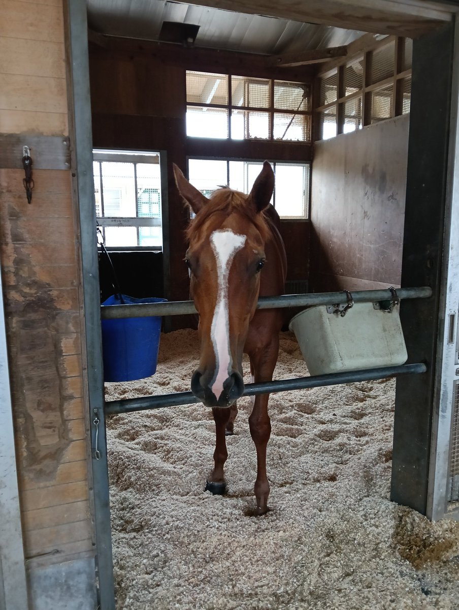 Take-chan tweet media