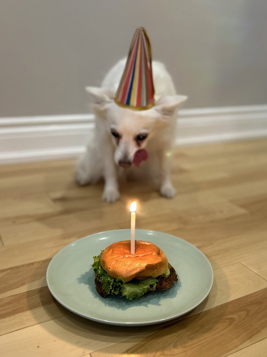 ughfluffwhatevr's tweet image. do we have to do this every year