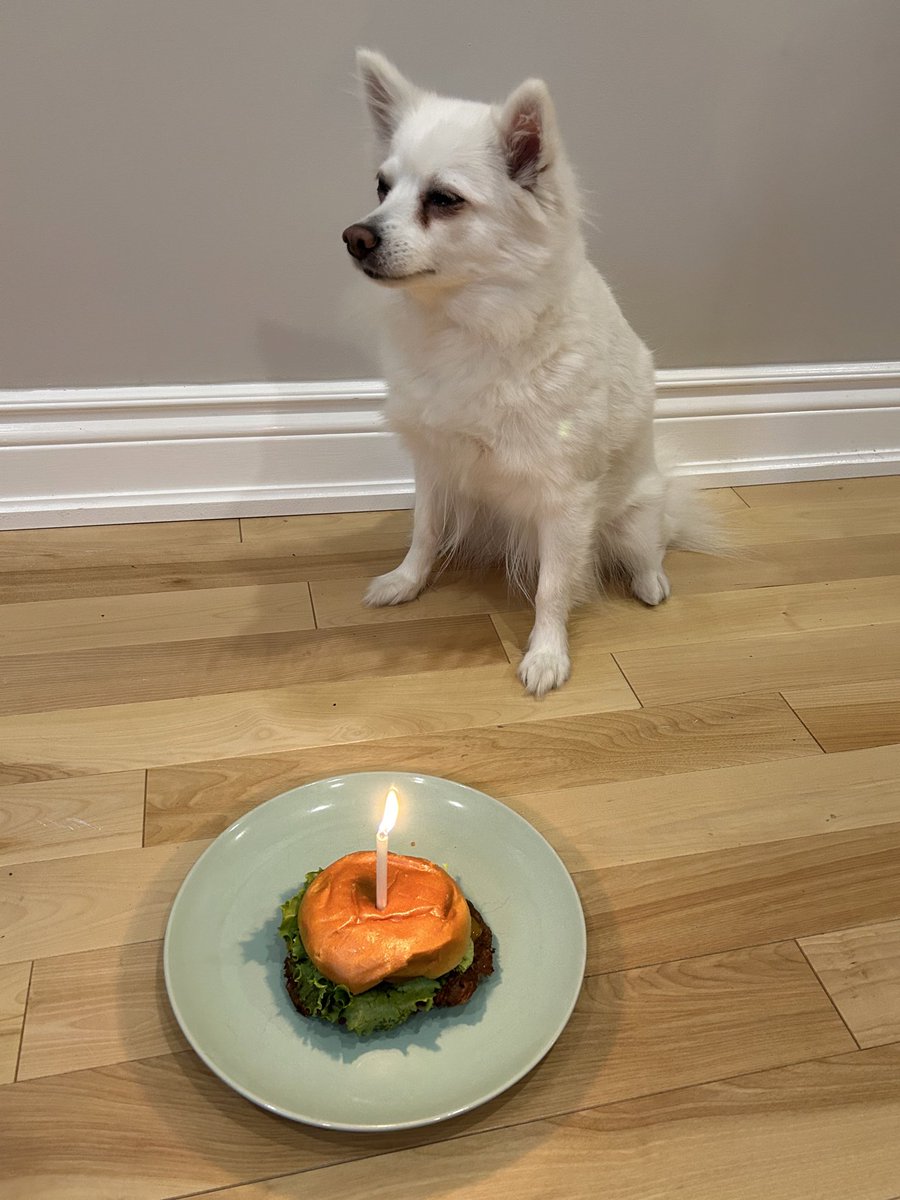 ughfluffwhatevr's tweet image. do we have to do this every year