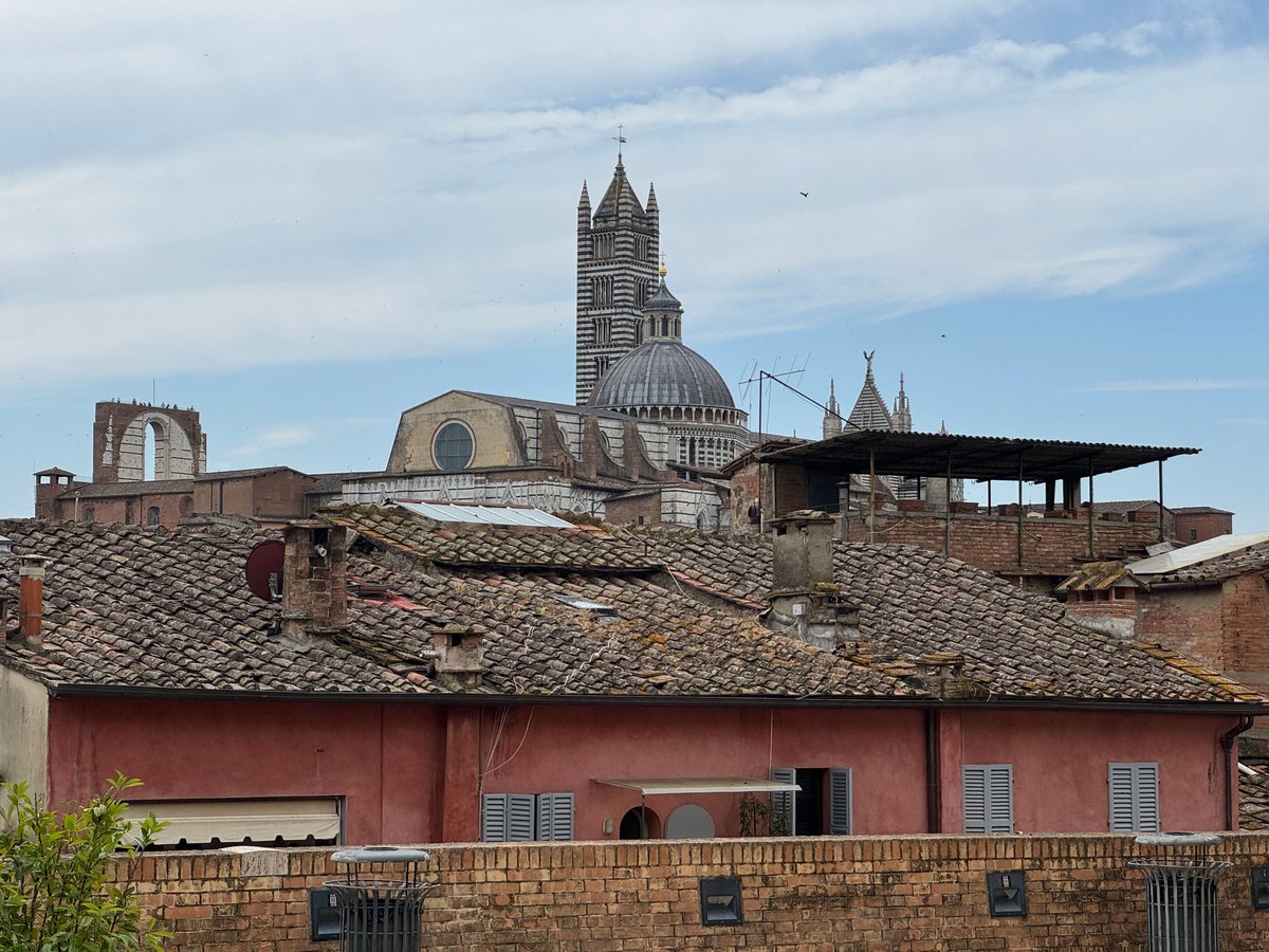 2TallTom's tweet image. #Palio #IlCampo #Siena

Sunday set up time.
For me, it's time for a Spritz.
Others do the work.

#haiku #travel #cruise #rivercruise  #ABD #Disney  #DCL #follow #Azamara #AmaWaterways #VirginVoyages
linktr.ee/2talltom