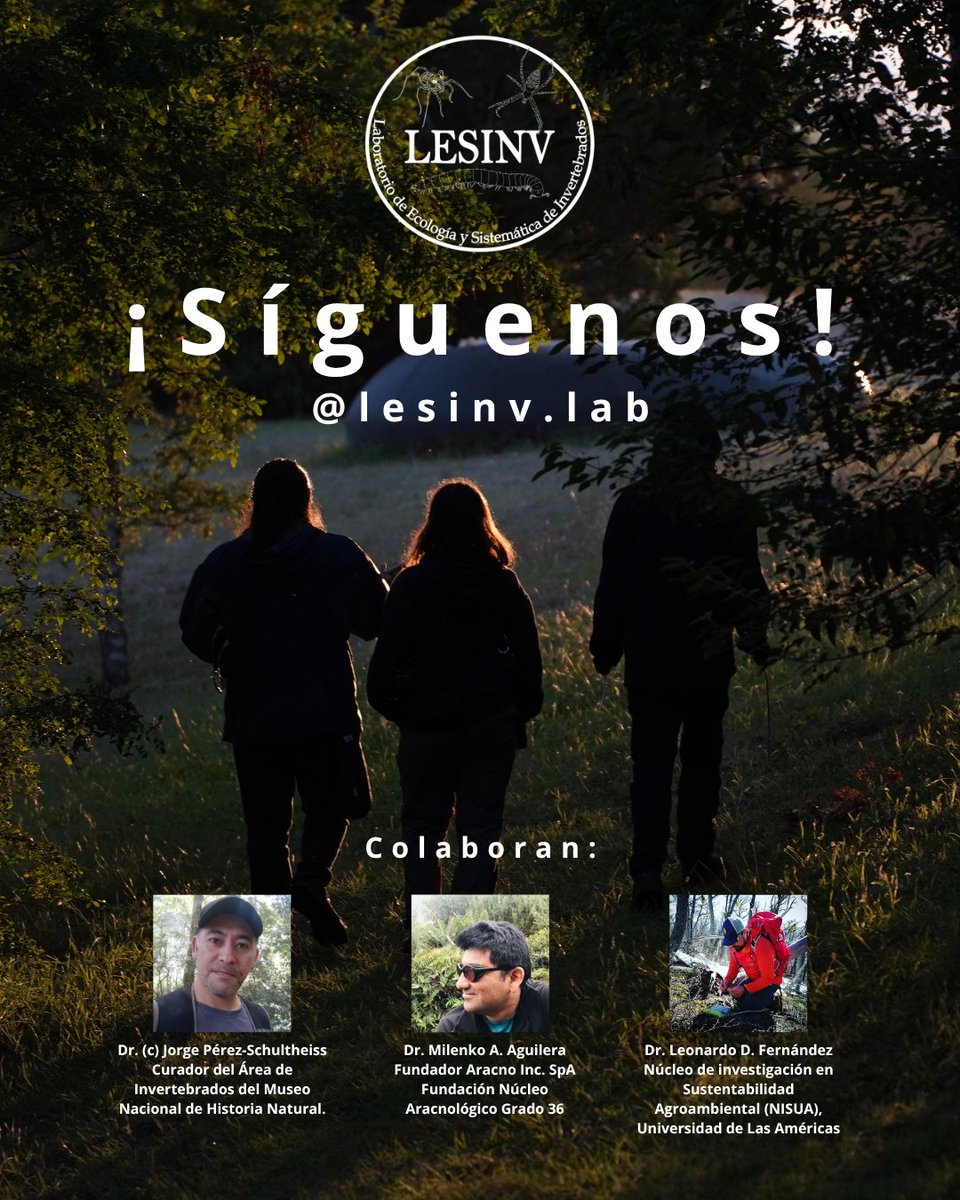 lesinv_lab's tweet photo. Nos complace presentar oficialmente al Laboratorio de Ecología y Sistemática de Invertebrados
#Invertebrados #InvertebradosNoInsectos #Biodiversidad #AméricadelSur #Taxonomía #Ecología #Conservación #Miriápodos #Arácnidos #Ciencia #Arañas #Milpiés #Opiliones #Biología https://t.co/qFFNg7oEJm