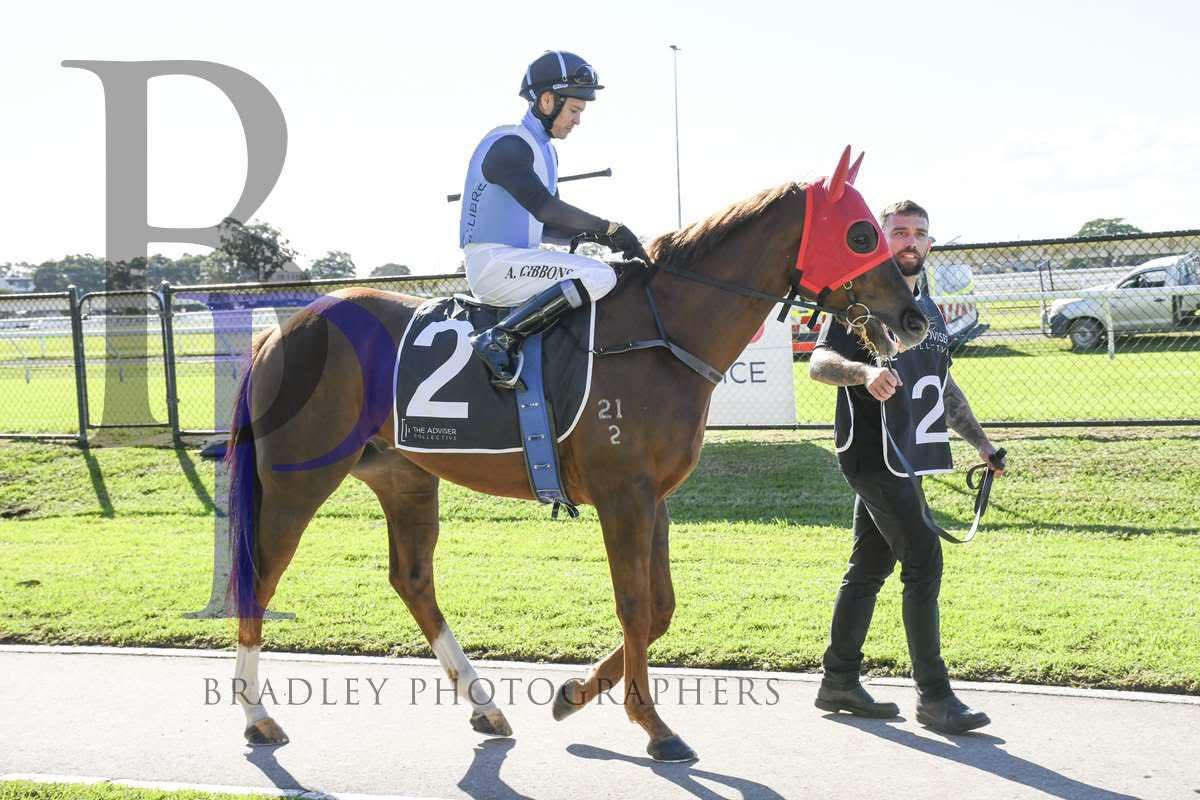 Doyle Racing (@ndoyleracing) on Twitter photo Doyle Racing have one Runner at <a href="/WyongRaceClub/">Wyong Race Club</a>
Race 1, 12:45pm
1100m, MDN
7. Divo (Ben Osmond a1.5) 56.5kg
Barrier no 2
Track currently rated a Soft 5
Best of Luck to connections and all involved ๐ค๐ป๐๐จ <a href="/CalibreRacing1/">Calibre Racing Group</a>
๐ธ<a href="/Bradley_Photos/">Bradley Photos</a> Doyle Racing have one Runner at <a href="/WyongRaceClub/">Wyong Race Club</a>
Race 1, 12:45pm
1100m, MDN
7. Divo (Ben Osmond a1.5) 56.5kg
Barrier no 2
Track currently rated a Soft 5
Best of Luck to connections and all involved ๐ค๐ป๐๐จ <a href="/CalibreRacing1/">Calibre Racing Group</a>
๐ธ<a href="/Bradley_Photos/">Bradley Photos</a>