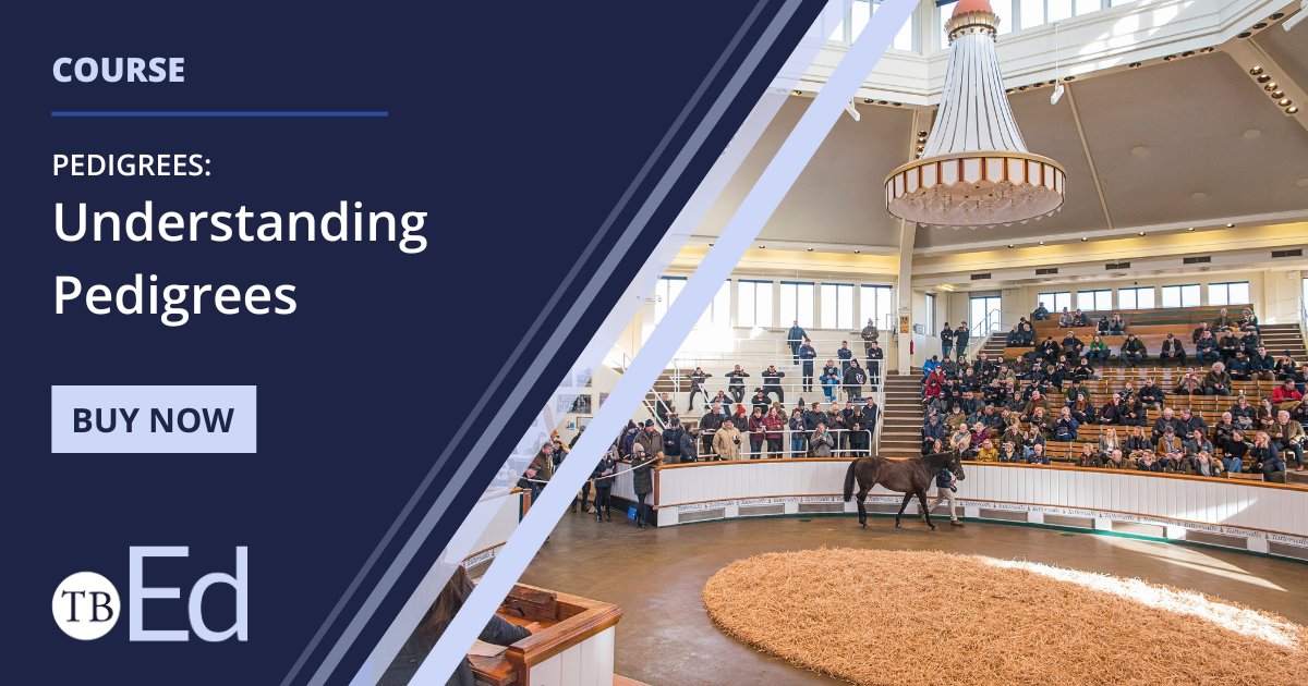 Excited for the sales? Brush up on your knowledge with TB_Ed’s Understanding Pedigree’s course!

💻Webinars from industry experts like James Crowhurst and Joe Grimwade
🐎 History of the breed and breeding selections 
📑Downloadable PDF 

Find out more 👉 tb-ed.co.uk/courses
