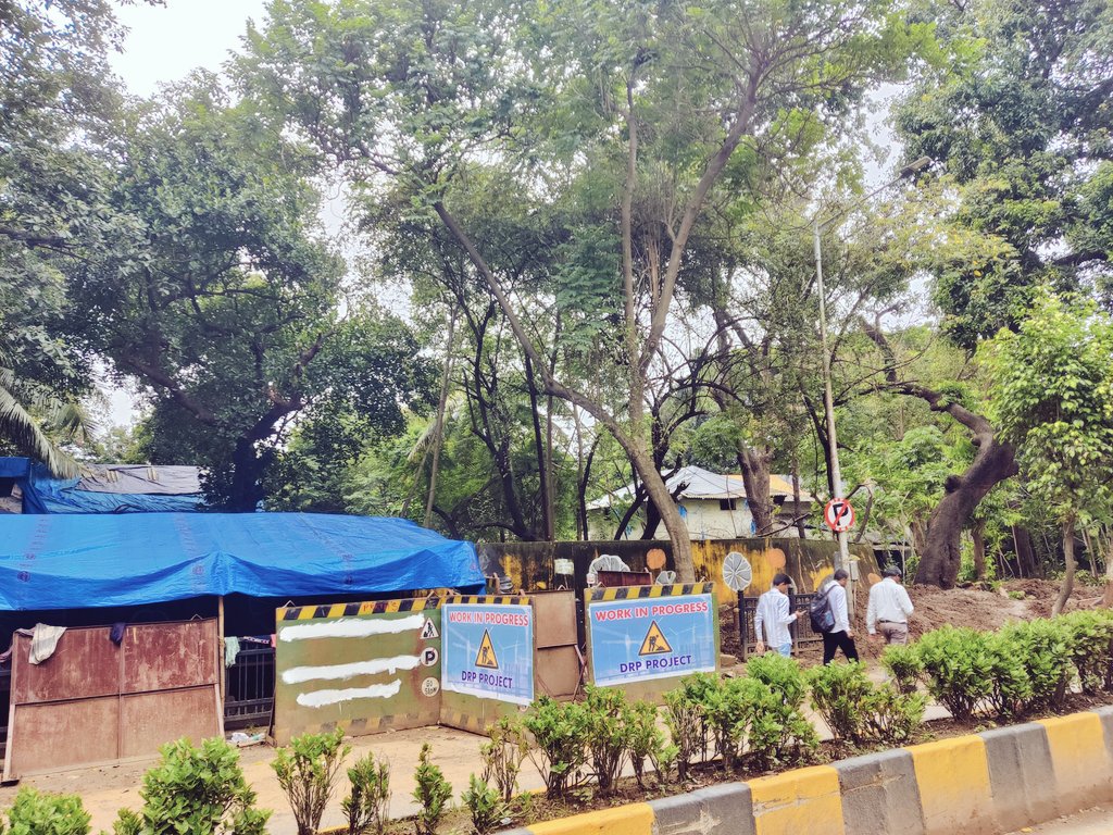 Shashank Rao (@shashankrao06) on Twitter photo Big #Dharavi dream. A month after Rs 95000 cr worth master was unveiled, its first list of those 'eligible' to get homes in a redeveloped Dharavi is out. Of the 505 tenements of Meghwadi a - locality here - only 81 are unconditionally 'Eligible'. <a href="/HTMumbai/">HTMumbai</a>
hindustantimes.com/cities/mumbai-… Big #Dharavi dream. A month after Rs 95000 cr worth master was unveiled, its first list of those 'eligible' to get homes in a redeveloped Dharavi is out. Of the 505 tenements of Meghwadi a - locality here - only 81 are unconditionally 'Eligible'. <a href="/HTMumbai/">HTMumbai</a>
hindustantimes.com/cities/mumbai-…