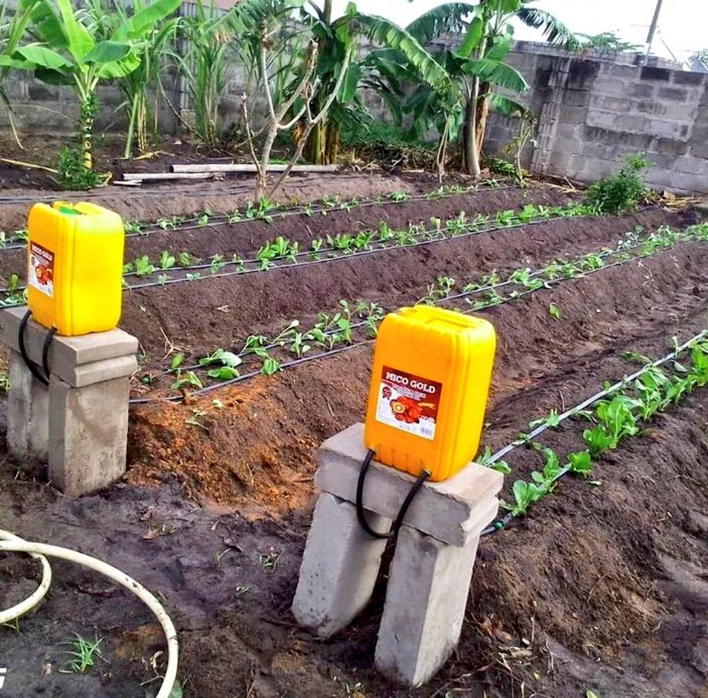 RexMidzi's tweet photo. Agri business is definitely the space one should be in 

I'm not talking about farming

The value chain , innovate in the value  chain 

We all have to eat, and we will keep at it 

Definitely, the next real African billionaires are coming from this space 

Happy hustling https://t.co/J0uZ6mDCvy