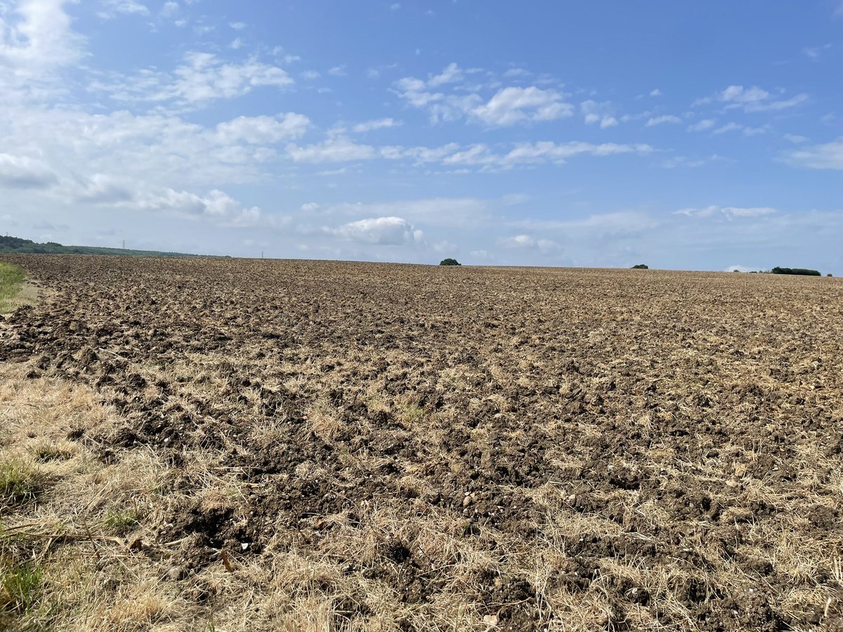 AgrosBiome's tweet photo. 💡  Quick Tip: Did you know earthworms can boost soil microbiome function by up to 20%? Add cover crops &amp; watch your worms (and microbes) thrive. 🌾🪱 #QuickTipThursday #SoilBiology #RegenerativeAg https://t.co/S8uRqNOvcl