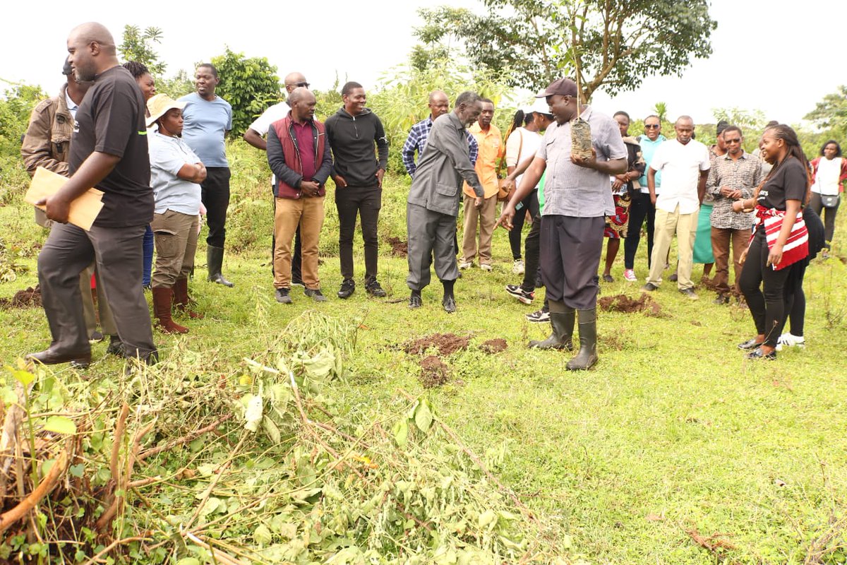 yfga_kenya's tweet photo. Greening Our Future!
On 19th Thursday 2025, MMUST With some members from YGAK joined hands with partners in a massive tree planting exercise at Lianugu, Kakamega Forest.
#MMUSTGreenInitiative #FutureInAMillionTrees #ClimateAction #IamYGAK #KakamegaForest #SustainableFuture https://t.co/yIYo2NYura