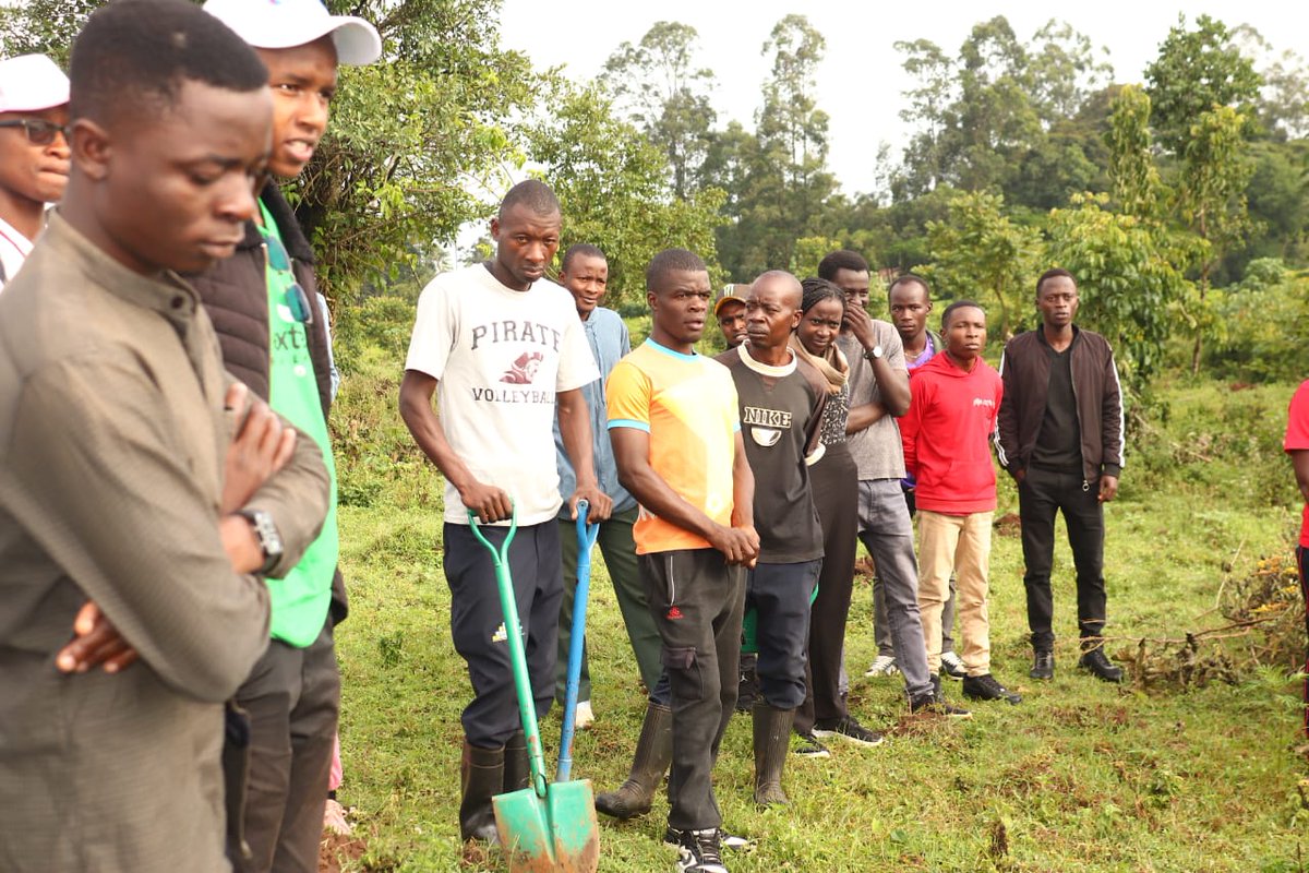 yfga_kenya's tweet photo. We appreciate the efforts of our esteemed partners including Equity Bank Kenya , Standard Chartered Kenya , Golf Hotel - Kakamega , Shell petroleum , NextNextGen for Future
#MMUSTGreenInitiative #FutureInAMillionTrees #ClimateAction
#IamYGAK #KakamegaForest #SustainableFuture https://t.co/vwoHhljU5r