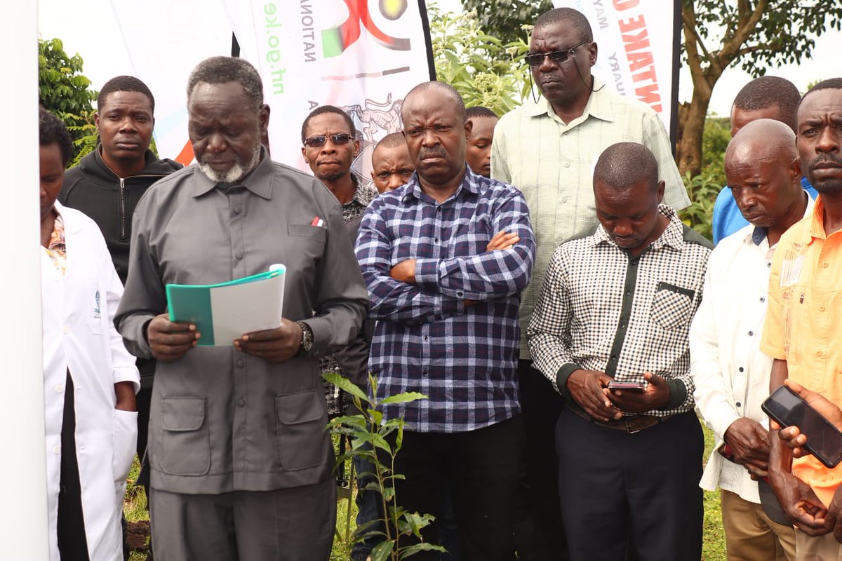 yfga_kenya's tweet photo. We appreciate the efforts of our esteemed partners including Equity Bank Kenya , Standard Chartered Kenya , Golf Hotel - Kakamega , Shell petroleum , NextNextGen for Future
#MMUSTGreenInitiative #FutureInAMillionTrees #ClimateAction
#IamYGAK #KakamegaForest #SustainableFuture https://t.co/vwoHhljU5r