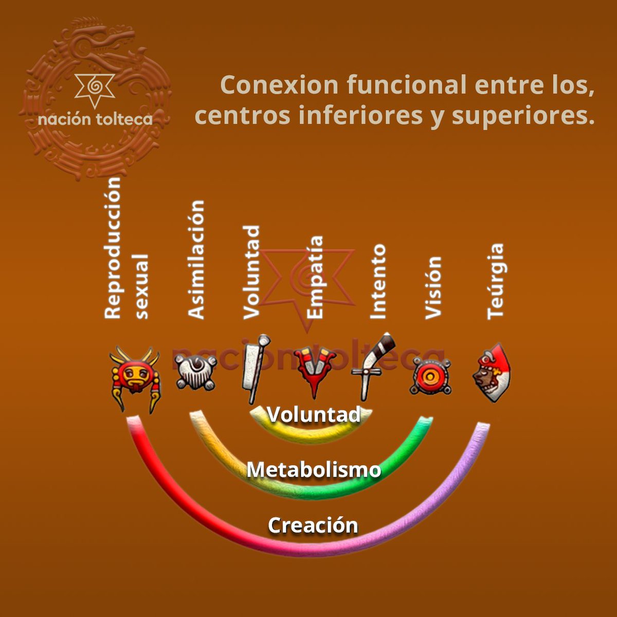 En el #martesdekinam el programa de la evolución biológica. 3/3

Los tres centros superiores (glotal, entrecejo y coronilla) son un proyecto futuro. Su análisis, a través de la experiencia de los chamanes, indica que son reflejos potenciados de los centros inferiores.

#kinam