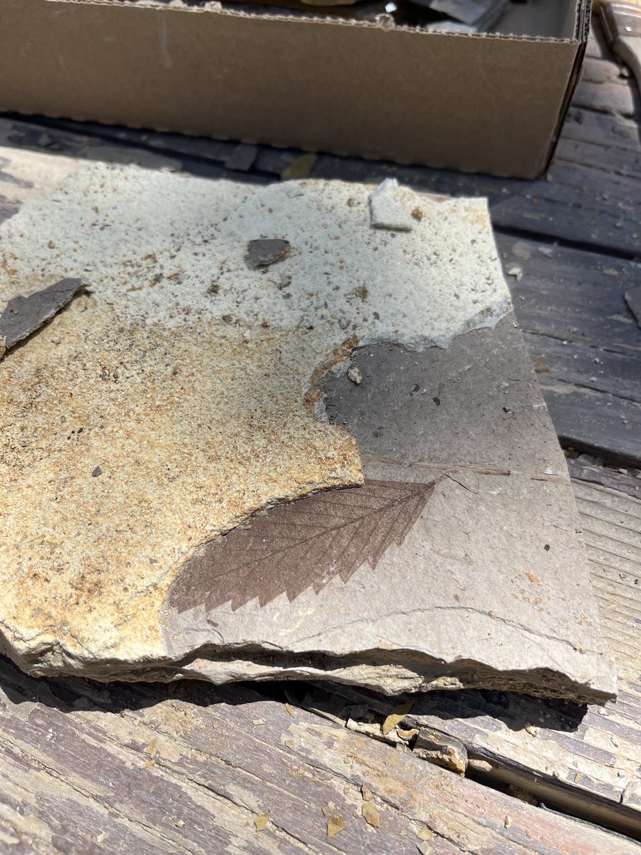 Pope High School Astronomy tweet media