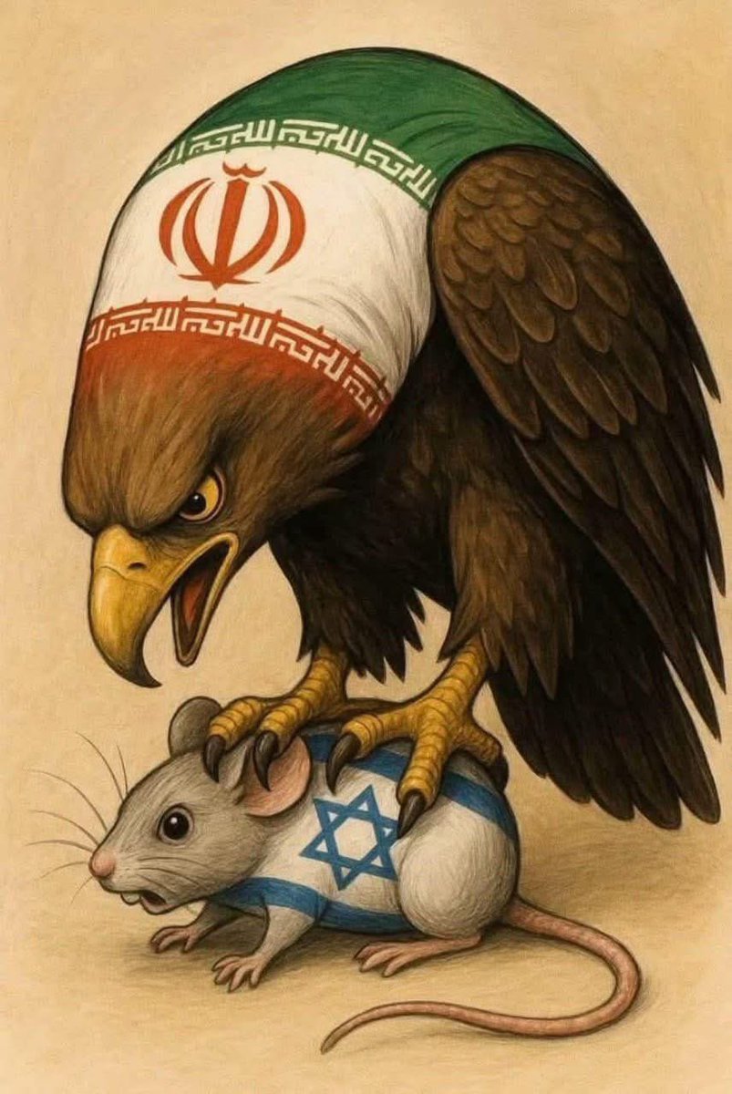 gyn_ob_haz's tweet photo. كانت الضربة الاخيرة للشيعة وكانت اقوى ضربة منذ اندلاع الحرب
انتهت الحرب بتوقيت الشيعة
 7:00
مبارك هذا النصر العظيم
وتحقق  معنى 
( ترهبون به عدو الله وعدوكم)
واقامة الردع .. 
حتى  مستقبلا  محد يندگ  بيكم 
فالسيد المايشور ابد ما ينزار ..
والشط  المايغرگ  ينعبر  كل يوم   😉😉... !!! https://t.co/HmZh1EPFHP