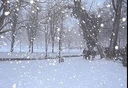 Uruguay En Estos Momentos:

#uruguayo #uruguay #Frio #nieve #Gauchas #Argentina