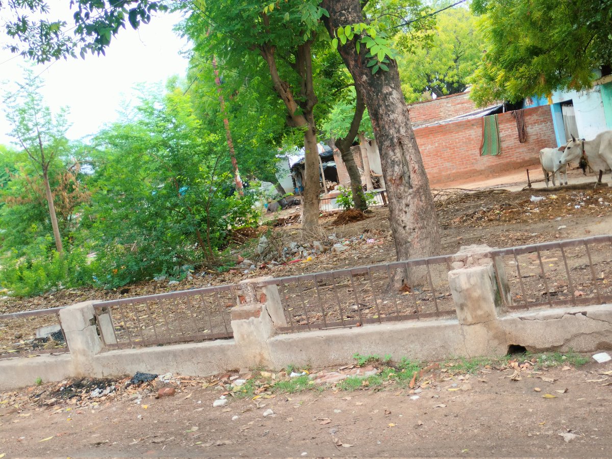 ये नजारा <a href="/Satishmahanaup/">Satish Mahana</a> के क्षेत्र हंसपुरम आवास विकास कॉलोनी का है। 
पिछले साल सितम्बर में छपी खबर के अनुसार इस पार्क का सुंदरीकरण होना था। देखो इस जनम में होता है या नहीं। 
ये है तथाकथित स्मार्ट सिटी की सच्चाई। #Kanpur #कानपुर <a href="/smartcitykanpur/">Smart City Kanpur</a> <a href="/nagarnigamknp/">Kanpur Nagar Nigam</a> <a href="/DMKanpur/">DM Kanpur Nagar</a> <a href="/UPGovt/">Government of UP</a>