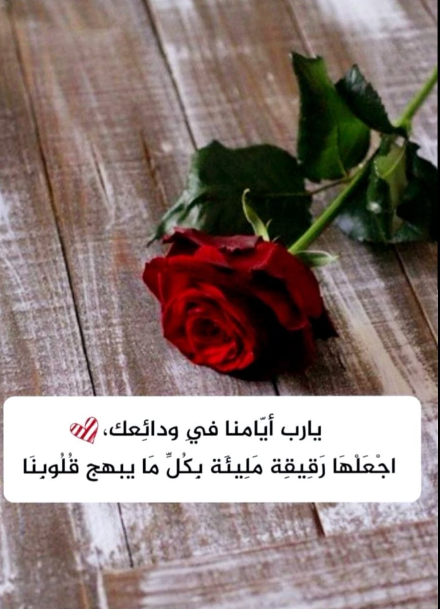 صباح النور والسرور 🌹🌹
