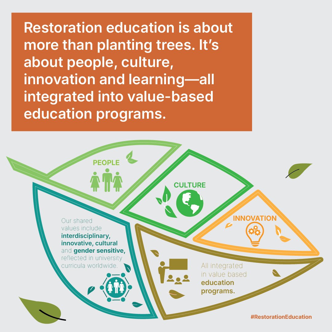 Managing #forests and #biodiversity starts with people.

Our Capacity Development and Education Hub connects science, learning, and local action, equipping communities with tools to lead change.

Explore the CDE hub: 🔗 bit.ly/3HtNNBZ

#TreesPeoplePlanet