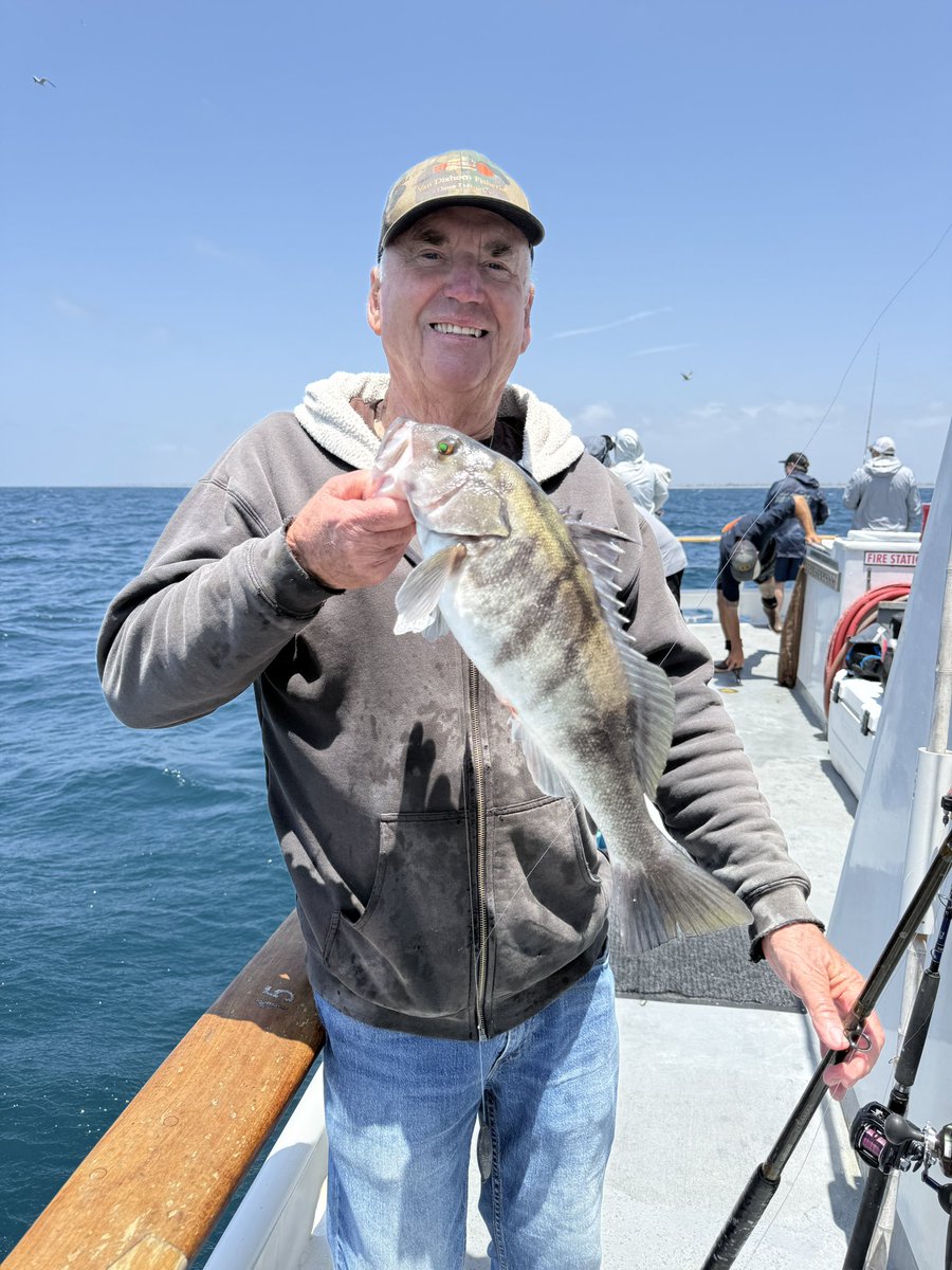 🎣 Had an incredible day out on the water catching some amazing sand bass! 🌊 The thrill of the catch and the beauty of nature never gets old. Can't wait for our next fishing adventure! 🐟✨ #FishingLife #SandBass #GreatCatch