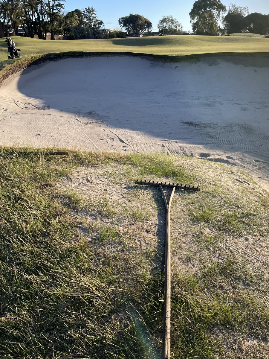 clarkos29's tweet photo. Proper rakes at Royal Melbourne yesterday @TalkBirdie_ToMe @MarkAllenGolf and it’s outside the bunker. ✅ ✅ https://t.co/DxFo9iwBy6