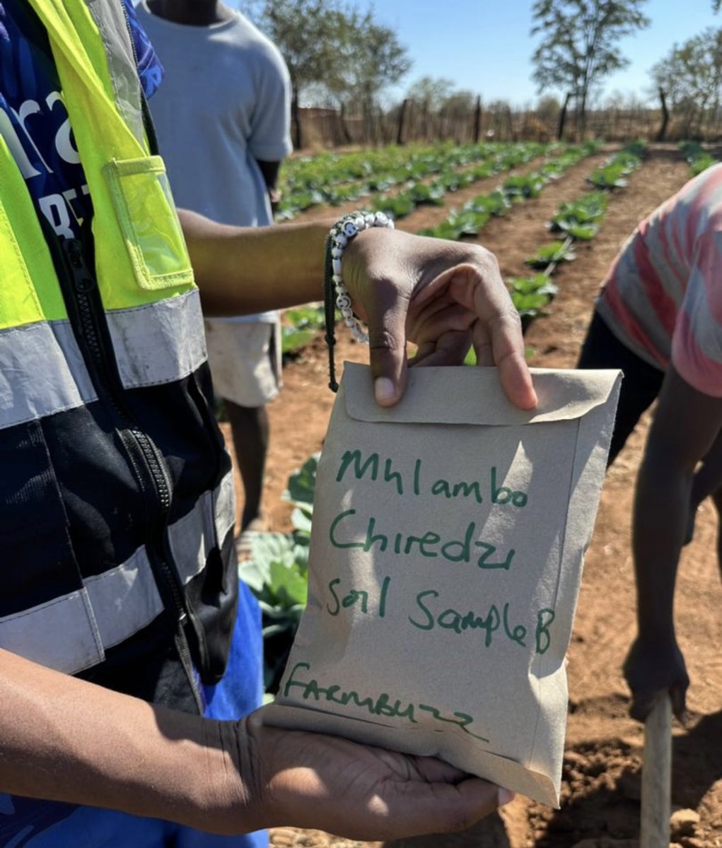 EmmanuelMarume5's tweet photo. Chiredzi ๐Our team visited the area to carry out farmland use planning & mapping. We successfully completed soil testing &. analysis, soil fertility & land use mapping, among other tasks. The client will receive comprehensive maps , project proposals, budgets & market insights. https://t.co/8QdRqNsXC6