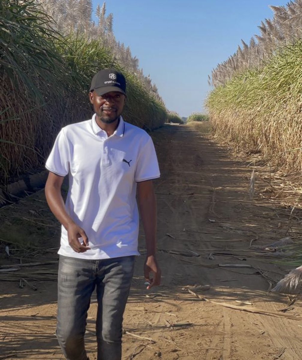 EmmanuelMarume5's tweet photo. Chiredzi ๐Our team visited the area to carry out farmland use planning & mapping. We successfully completed soil testing &. analysis, soil fertility & land use mapping, among other tasks. The client will receive comprehensive maps , project proposals, budgets & market insights. https://t.co/8QdRqNsXC6