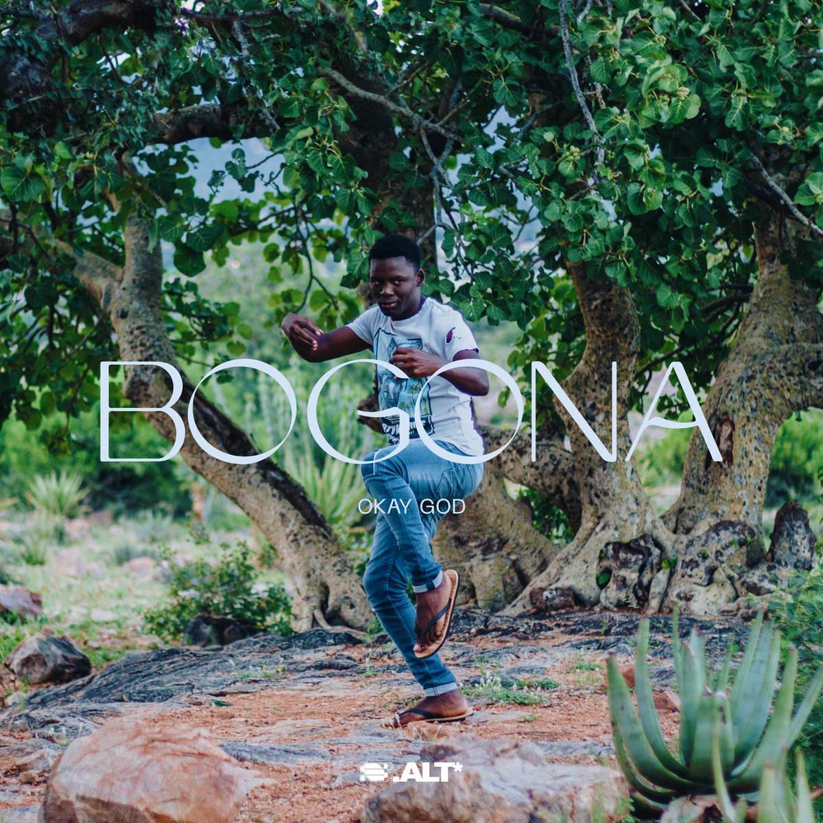 saltrecs's tweet photo. #NewMusic OKAY GOD (@zitomowa) - BOGONA. OUT NOW ⭐️

🔗 https://t.co/HcLKF6t3aw

#acapella #acapellacover #africangospel #africangospelmusic #traditionalgospel https://t.co/y5KOvHs7v0