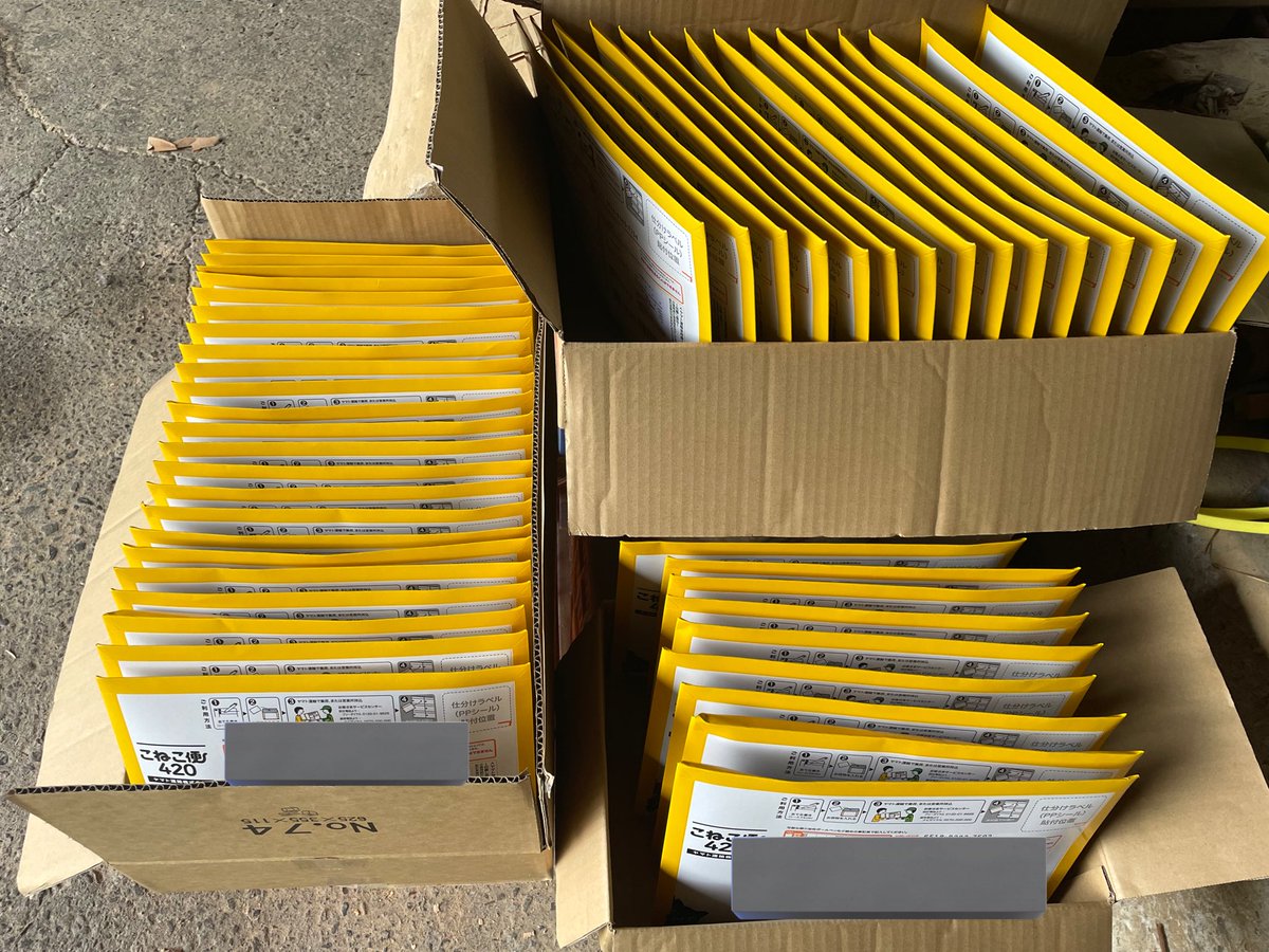 本日発送の子たち🚚💨