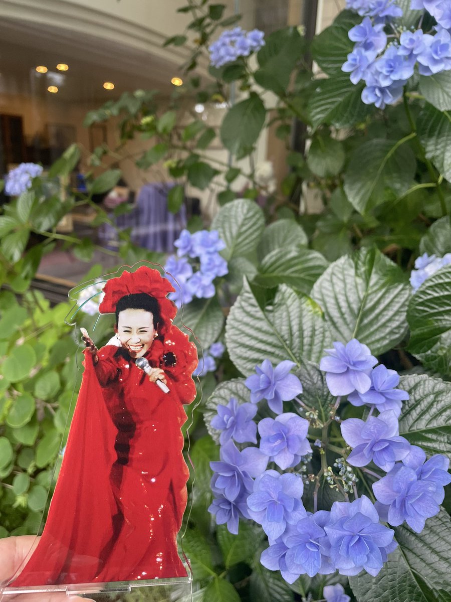 本日は、ひばりさんの御命日💐 お墓参りにご参加いただいた皆様