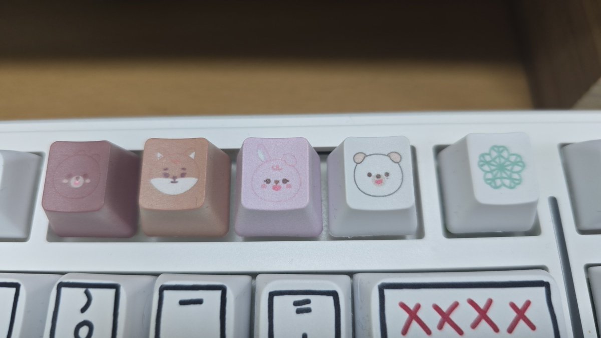 나 갑자기 데이식스 팬미팅 0표 클럽이라 속상해 😭😭😭😭😭😭