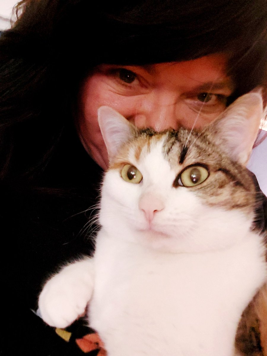 miezmops_K5's tweet photo. Guten Morgen! ♡
Nix Tittietuesday, hier ist #Kittytuesday .
Habt den Dienstag fein und lasst euch nicht ärgern! 😘 https://t.co/O5T4mfVKg7