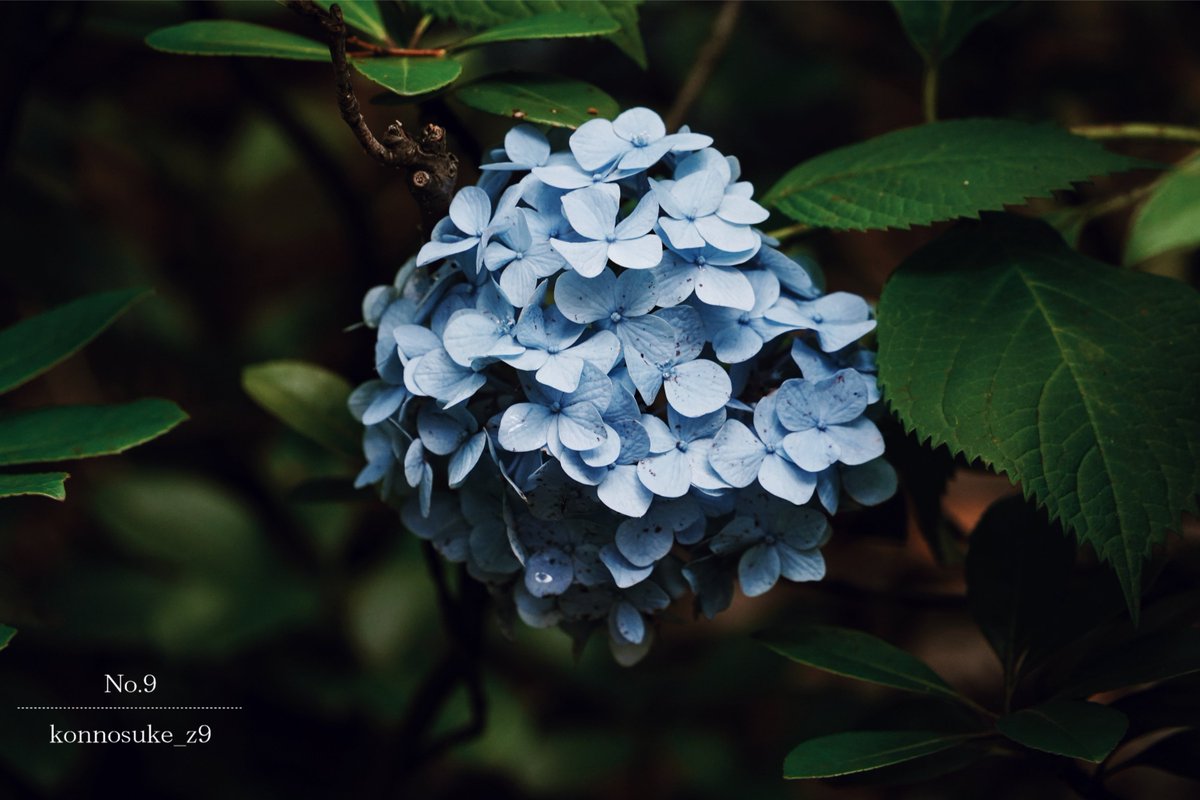 ▷ Have a good night.  …