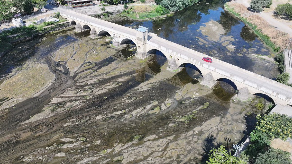 Edirne'nin önemli su kaynaklarından Tunca Nehri'nde, bazı bölümlerinde su akışı durma noktasına geldi (AA)

Ama Kuzey Ormanları'nın yeraltı sularını taş ocaklarıyla patlatmaya; yerüstü sularını her gün betona boğdukları İstanbul'a göndermeye; yüzlerce RES türbini, yolları ve