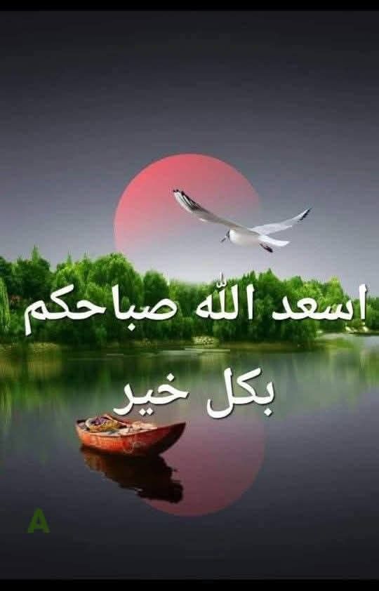 سعاد tweet media