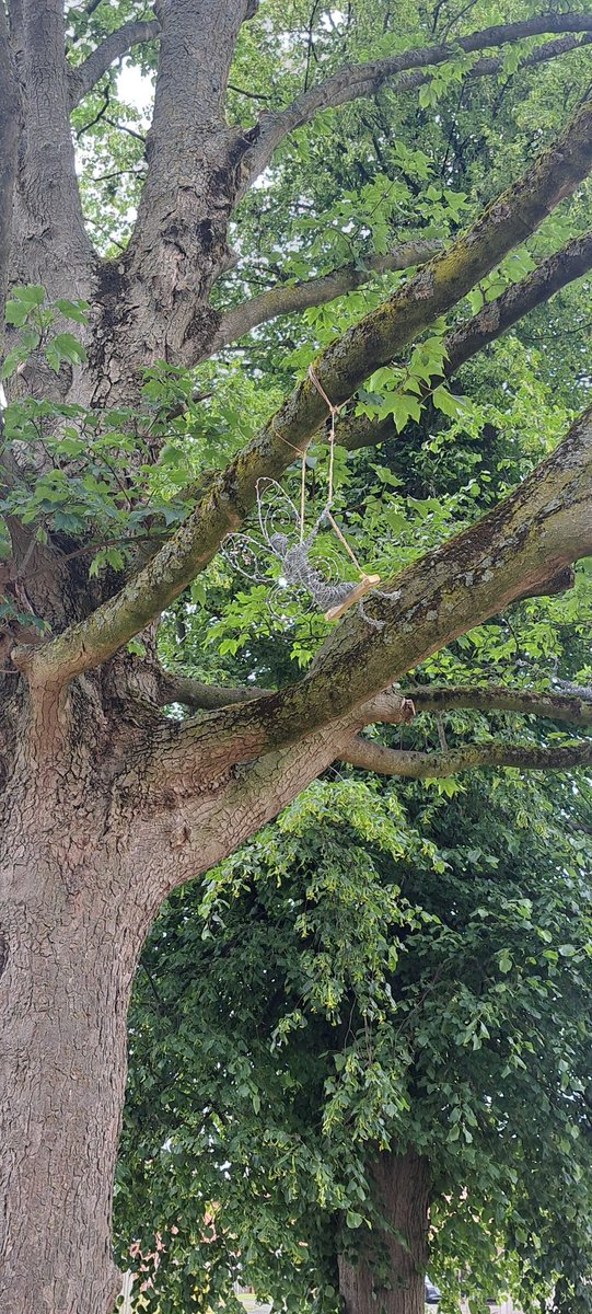 Happy National Fairy Day everyone