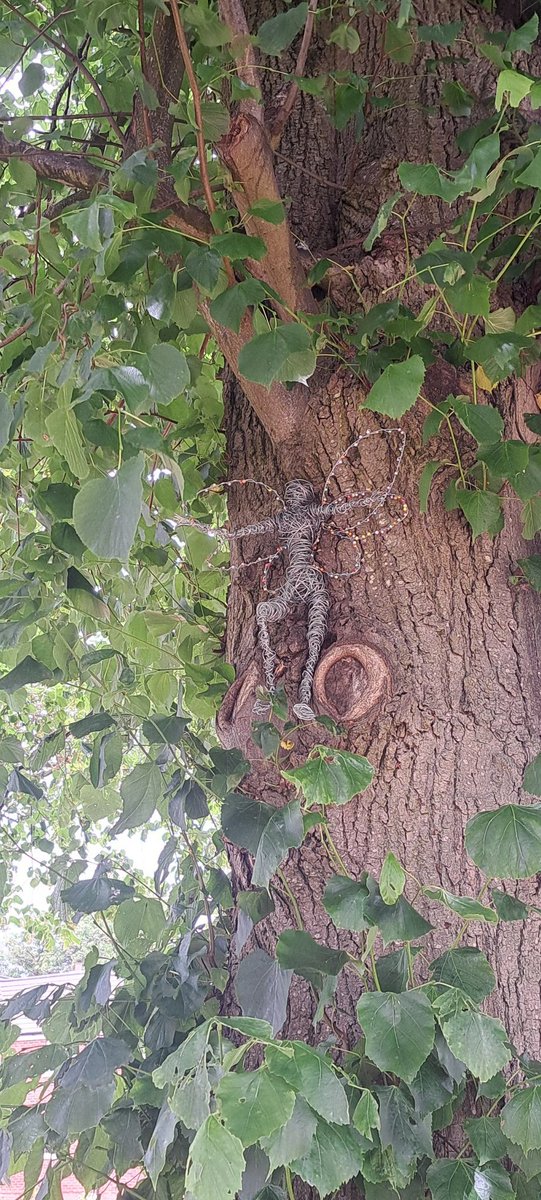 Trish Nolan tweet media