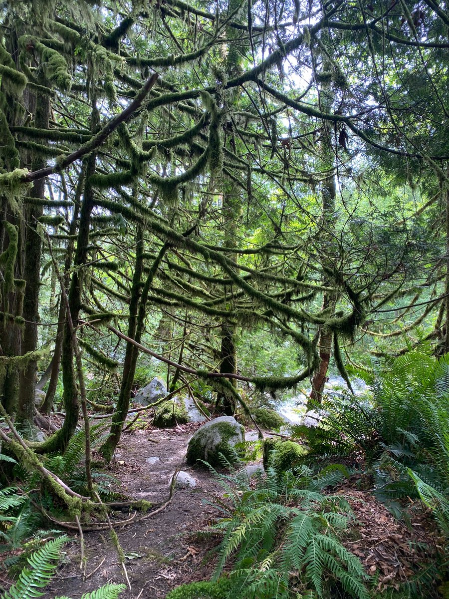 Just want to share this picture from my recent trip.