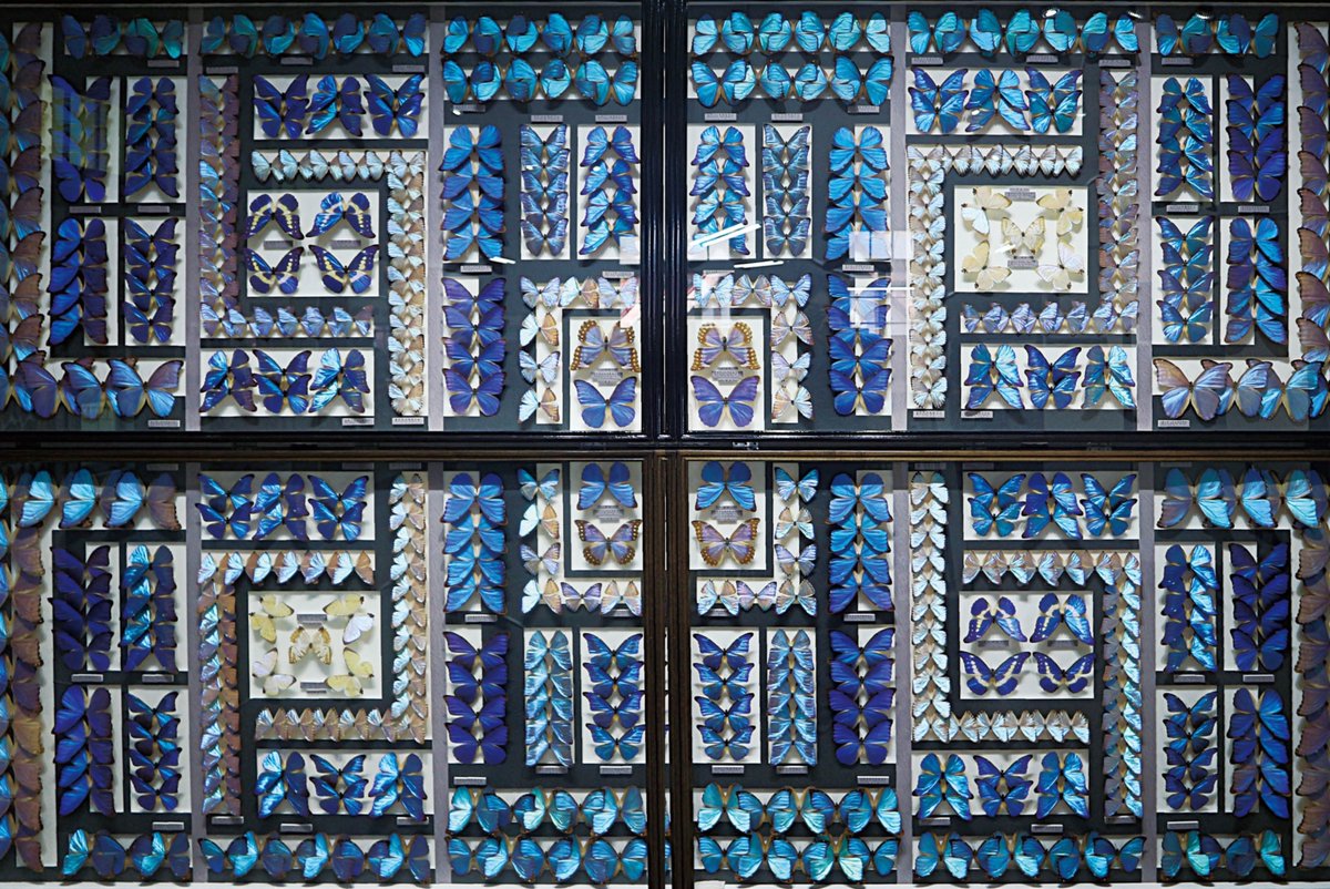 bootleg_images_bot(twee!:void(0)-+**** (@chronic_clinic_) on Twitter photo 