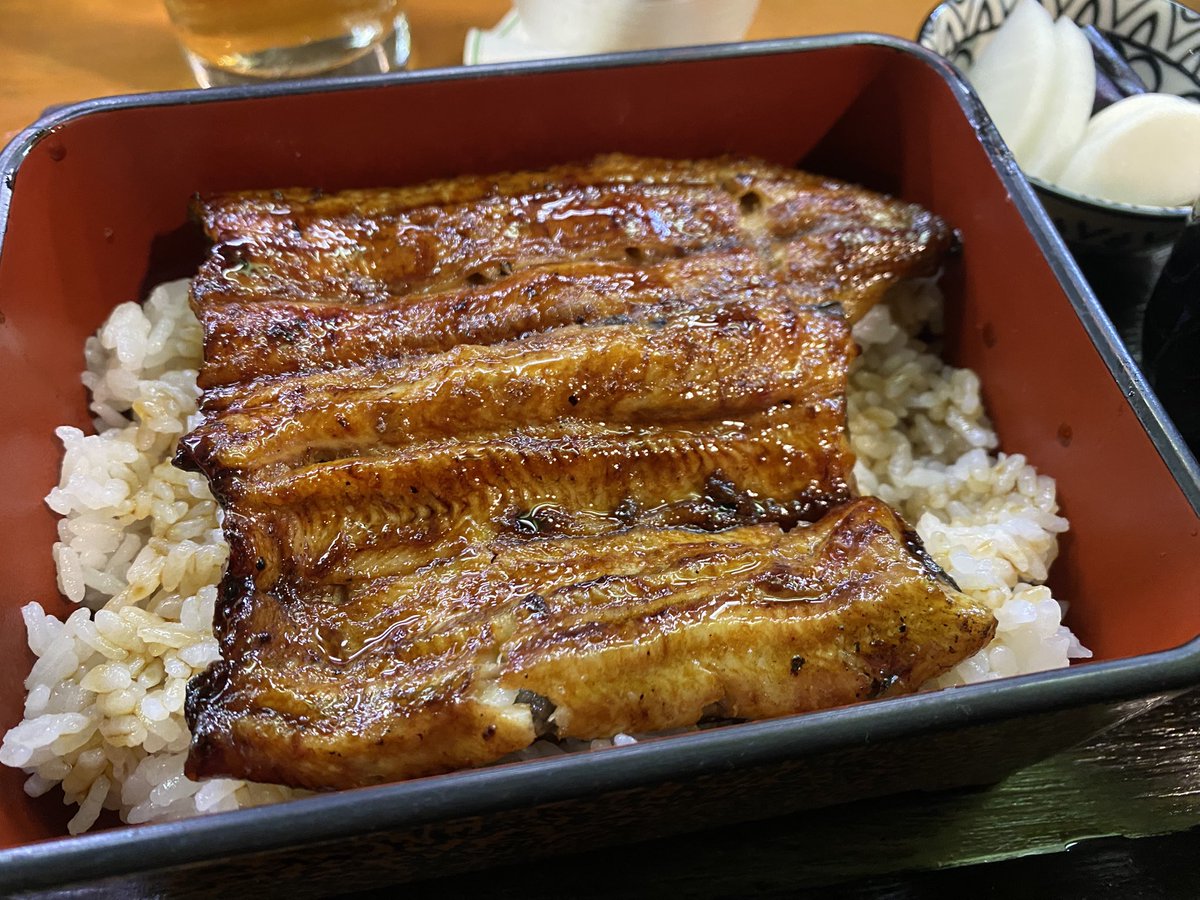 【どうなる！おじさんと犬の投資生活07】

6月22日前後の生活
30年以上前に出版された、編集者の大先輩・渡辺佑さんの書籍を読み、自分の仕事についてちょっと考えた。

文章を書くことが好きで始めたはずの仕事が、いつからか面倒になって、やがてただの金儲けの手段となった。