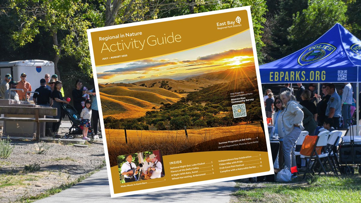 EBRPD's tweet image. Jul-Aug Regional in Nature Activity Guide now available featuring fun events, nature experiences, and programs, including Ardenwood Wheat Harvest and Independence Day, Bats of the East Bay, Campfire Programs, Grunion Searches, and National Night Out. ebparks.org/rin