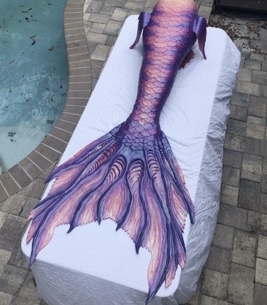 desolatist's tweet photo. currently thinking about mermaid rumi with a beautiful purple tail that also has her colorful iridescent patterns on it… https://t.co/1kIsPAEduG